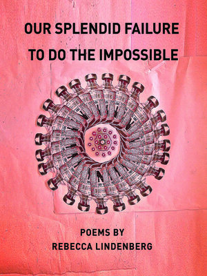 cover image of Our Splendid Failure to Do the Impossible
